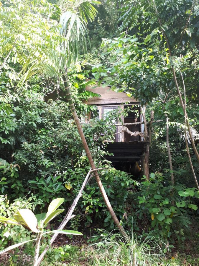 Sumatra Ecolodge Sungaipisang Экстерьер фото