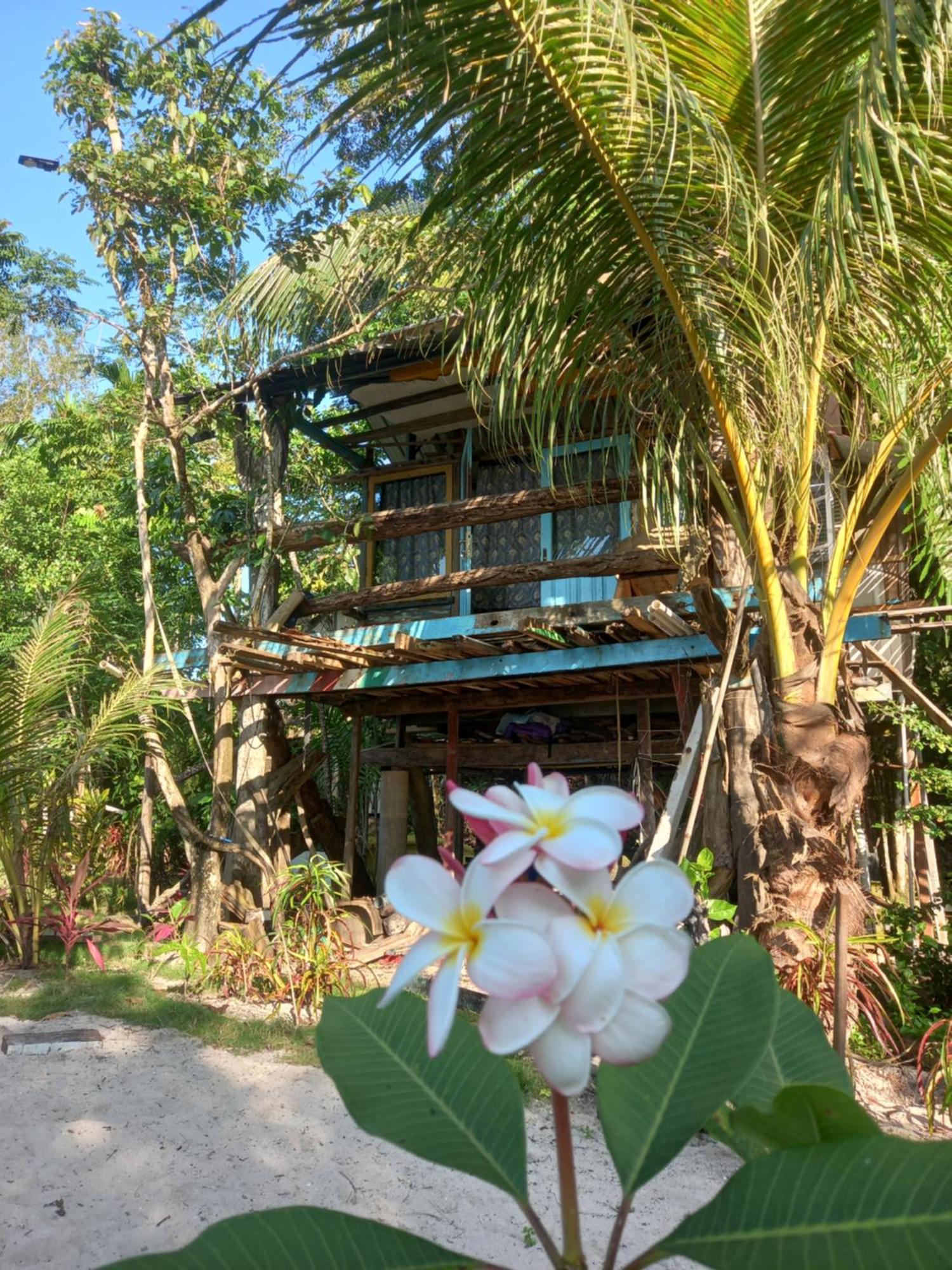 Sumatra Ecolodge Sungaipisang Номер фото