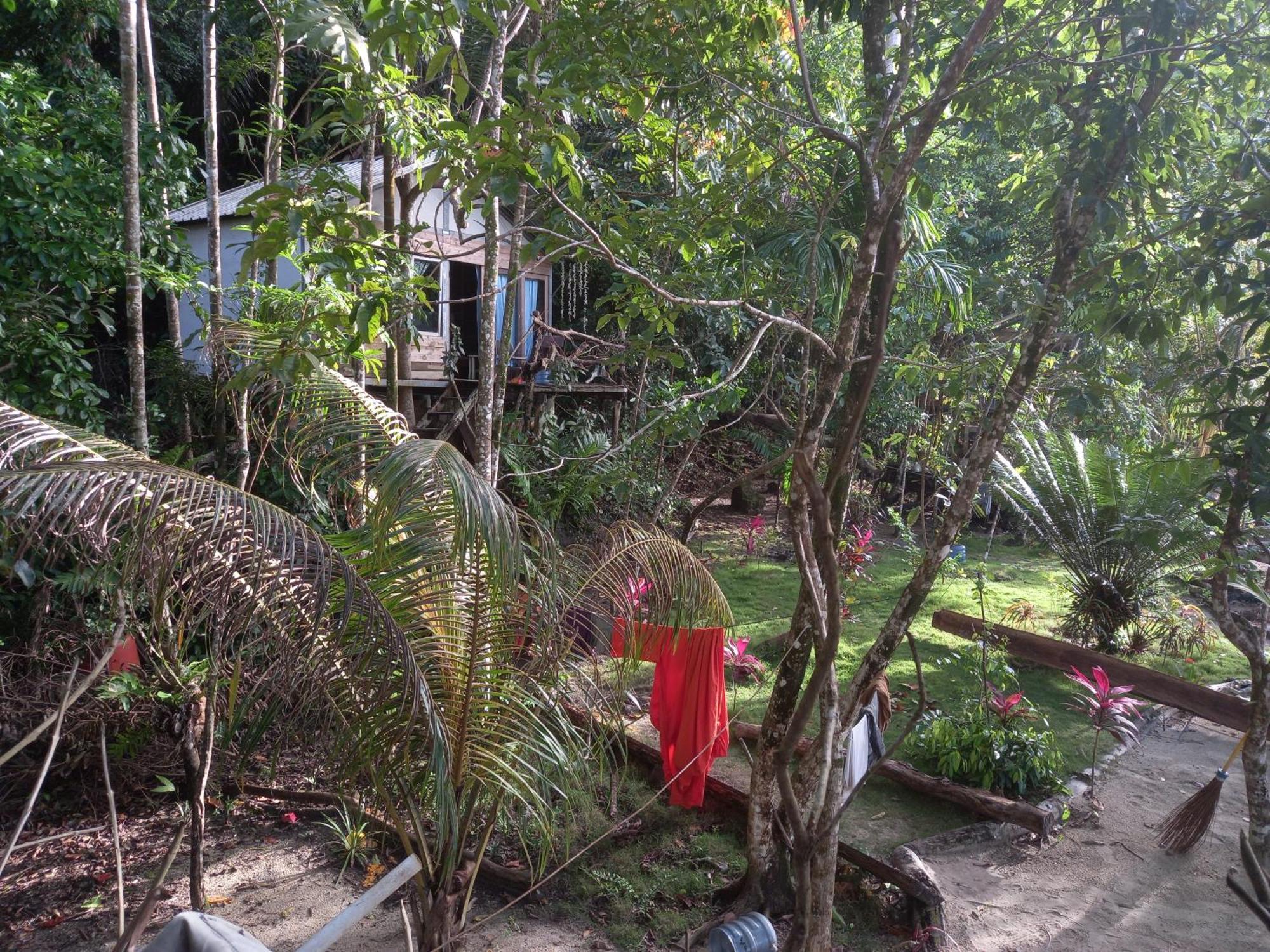 Sumatra Ecolodge Sungaipisang Экстерьер фото