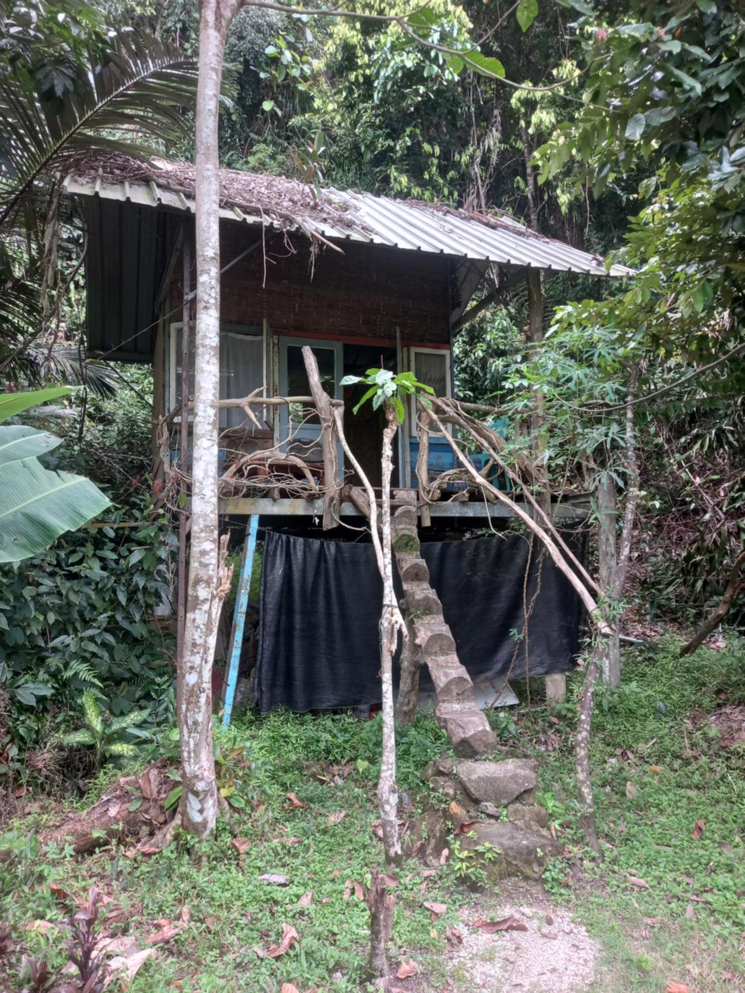 Sumatra Ecolodge Sungaipisang Номер фото
